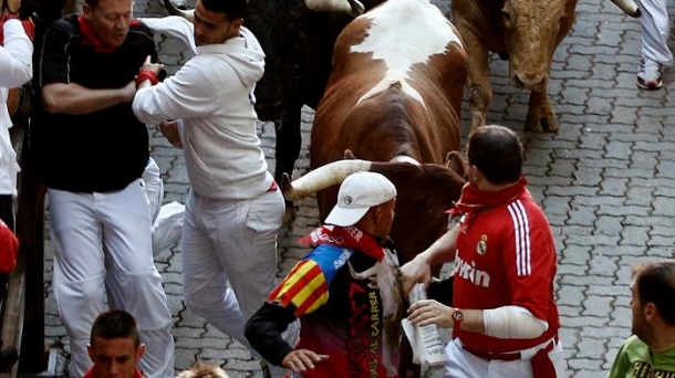 The running of the bulls. Photo: EFE