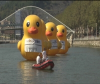 'Vamos a llenar la ría de Bilbao de una marea amarilla de patos'