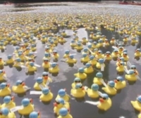50.000 patos de goma invaden la ría de Bilbao