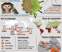 El zika ¿Una amenaza global?
