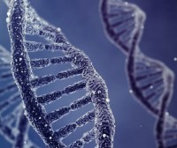 Zientzialariek giza DNA identifikagarria aurkitu dute ingurumen laginetan