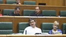 El Parlamento Vasco debate sobre las palabras de Otegi en Bruselas
