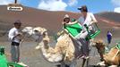 Ana se pasa los veranos entre camellos y dromedarios