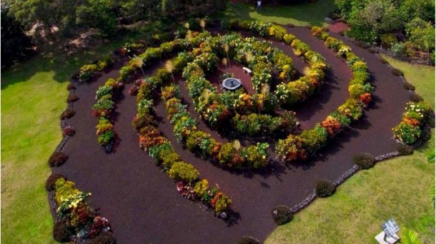 El ''Jardín de la Galaxia'' de Hawaii. Foto: Pierre y Heidy Lesage