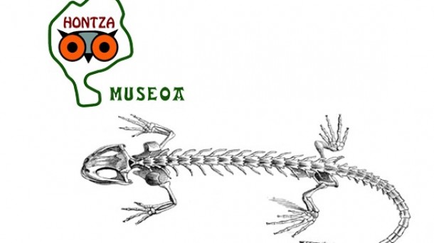Hontza Museoa