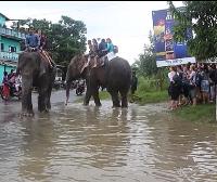 Nepalen elefanteen gainean ebakuatu dituzte harrapaturik zeuden turistak