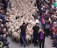 EHNE y ENBA denuncian la dejadez de la Mancomunidad de Aralar y la situación precaria de los pastores
