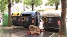 Un operario evita que una mujer muera prensada en el camión de la basura