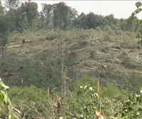 Un tornado arrasa el bosque de Legaire