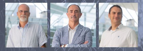 CIC BIOMAGUNE HIRU IKERLARIAK