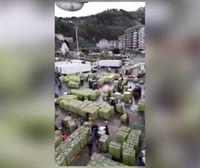 553.000 kilo antxoa deskargatu dituzte Ondarroako portuan