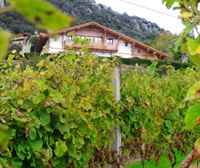 Un txakoli de la bodega vizcaína Gorka Izagirre, mejor vino blanco del mundo