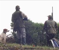 La Diputación Foral autoriza la caza de algunos animales en Álava
