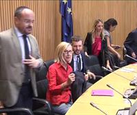 Espainiako PPren iritziz, albiste ona litzateke Rosa Diez politika mundura itzultzea