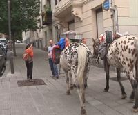 Un alemán que hace el camino de Santiago con sus dos caballos pasa por Bilbao
