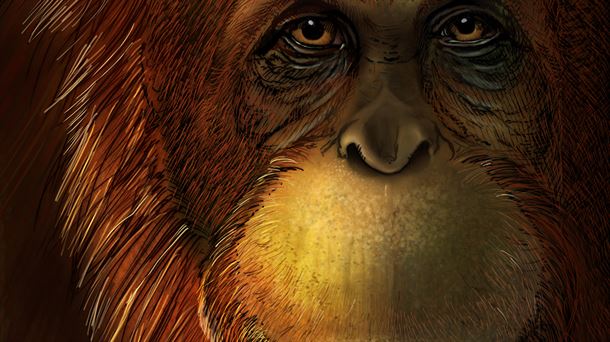 Gigantopithecus: Ikumi Kayama (Studio Kayama LLC)