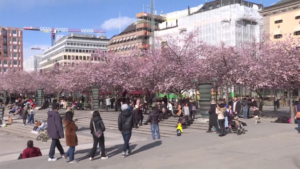 Vídeo: Suecia no impone restricciones a la población | Noticias ...