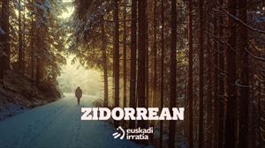 Zidorrean (2022/11/29)