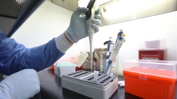 Personal de laboratorio realiza un test PCR.