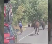 Dos caballos acompañan a un ciclista en la tercera etapa