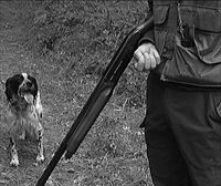 La Diputación permite que cazadores de otras provincias pueden cazar jabalís en Álava