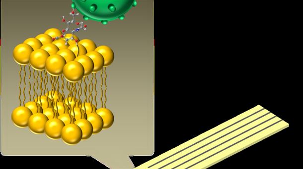 Biosensor nanofotónico. Fuente: CSIC