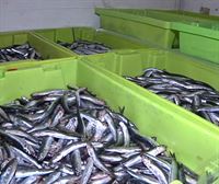 El Banco de Alimentos de Bizkaia recibe una tonelada de anchoas desde Hondarribia