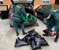 Detienen a un hombre en Cizur que portaba 8,8 kilos de marihuana en el coche