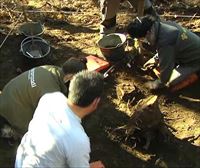 Exhuman los restos de un combatiente del batallón Esteban Salsamendi en Bizkargi
