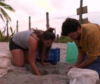 Iratxe nos lleva a ver cómo nacen las tortugas lora en Costa Rica