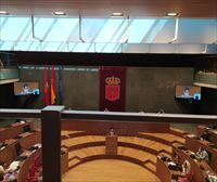 Kontseilua critica el no del Parlamento navarro a la moción sobre lenguas propias