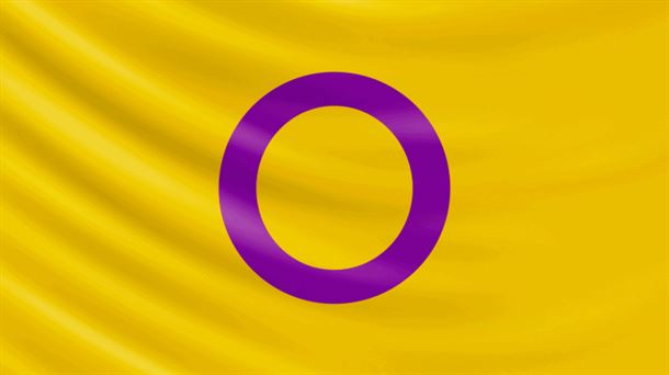 La bandera del orgullo intersexual fue creada en 2013 por Morgan Carpenter