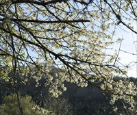 ¿Qué día de marzo empieza la primavera 2022 en Euskadi?