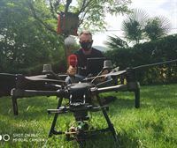 Un dron-ballesta contra la avispa asiática