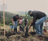 Siembran árboles con cenizas de familiares fallecidos por covid en Colombia