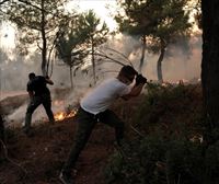 Grecia sigue luchando contra el avance del fuego por todo el país