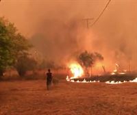 Los vecinos de la isla griega Eubea tratan de apagar las llamas con mangueras y recursos propios