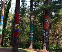 El Bosque de Ibarrola será pintado en otro pinar de Oma y abrirá parcialmente en verano de 2022