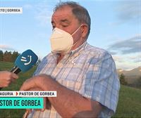 Julián Ajuriaguerra, pastor del Gorbea: ''Va a ser un otoño bastante bueno, con pocas heladas''