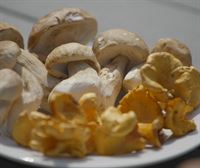 Arguiñano y Zuriñe preparan tostas de revuelto de hongos en plena temporada de recogida de setas
