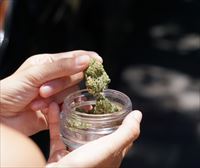 La subcomisión de cannabis medicinal del Congreso se reunirá por primera vez el próximo miércoles