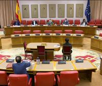 Kongresuak oniritzia eman die PPk eta PSOEk proposatutako Auzitegi Konstituzionalerako lau hautagaiei