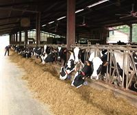ENBA pide a Mercadona que suba el precio de la leche porque es el líder en ventas en el estado