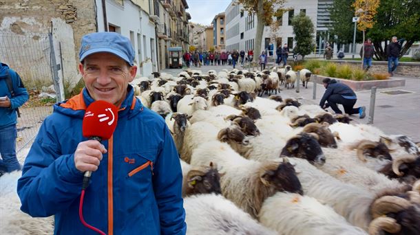 Mikel Baztan con el rebaño de ovejas