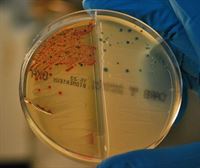 Resistencias antimicrobianas: un problema de salud global. Mitos de la alimentación: del azúcar al gluten