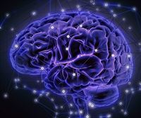 Evolución y neurociencia: una especie con cerebros conectados. Las viudas en el Antiguo Régimen