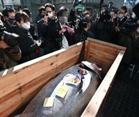Subastado un atún por 128 900 euros en Tokio