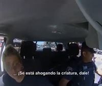 Poliziak itotzen ari zen adingabe baten bizitza salbatu du Argentinan