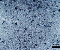 Arropa lehorgailu bakar batek urtero 120 milioi mikro-plastikozko zuntz askatu ditzake airera