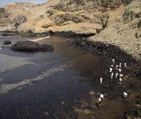 Un derrame de crudo deja playas negras y aves muertas en Perú